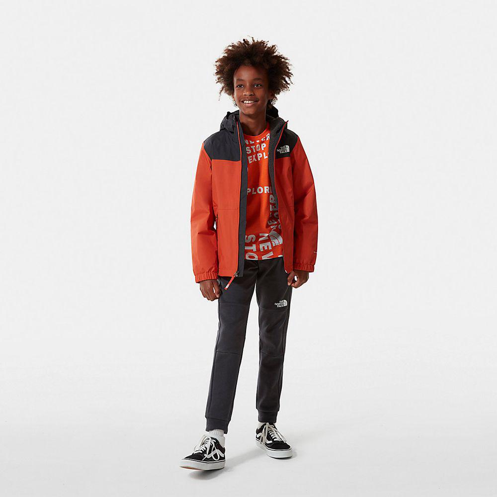 The North Face Slacker Αγόρια Παντελόνι - Γκρι (YLKZ13420)